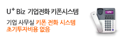 유플러스Biz IP-PBX, 센트릭스, CPG, SOHO형, 키폰전화