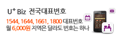 유플러스Biz 지역은 달라도 번호는 하나, 전국대표번호, 1544, 1644, 1661, 대표번호 번호이동